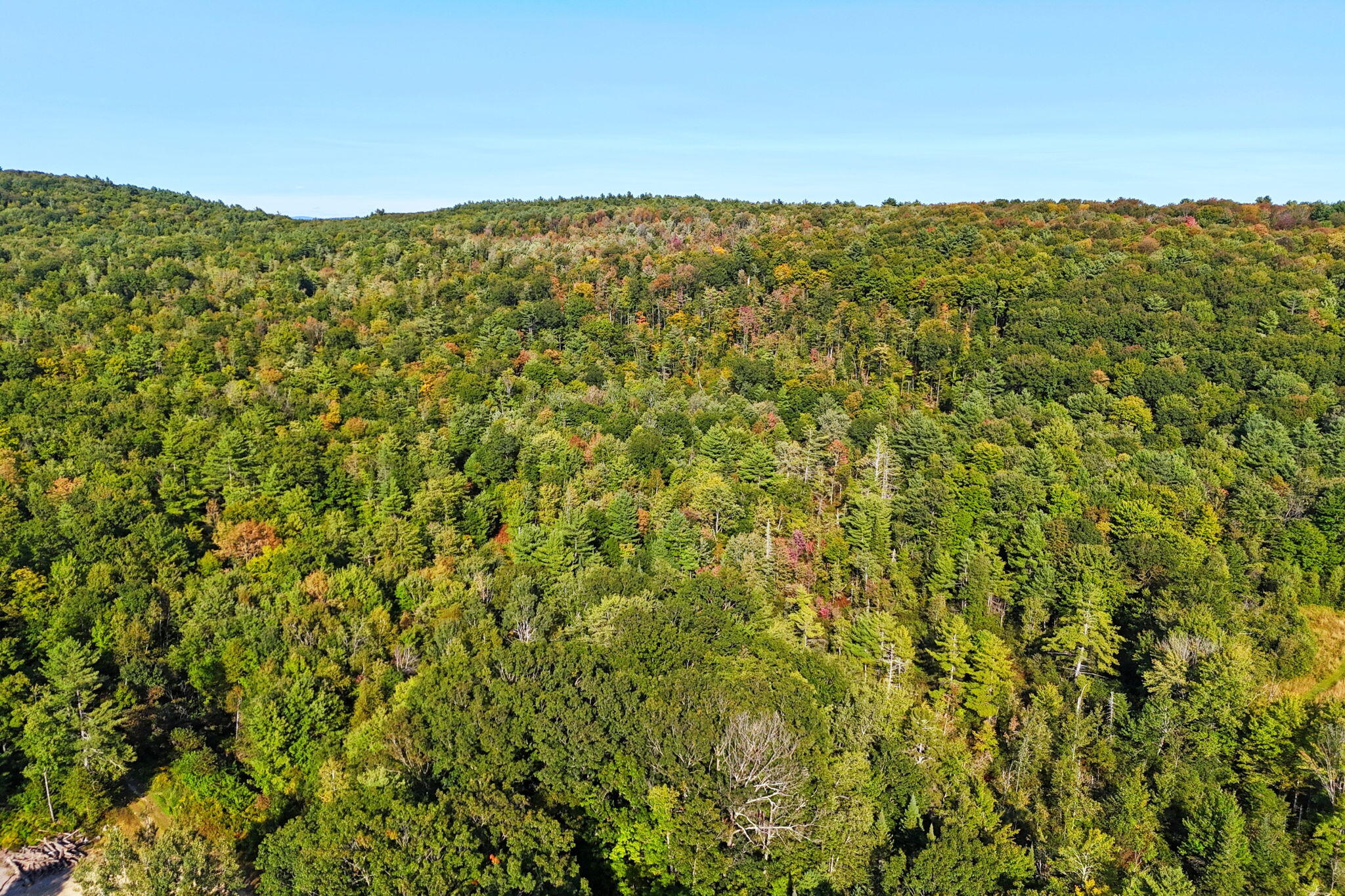 Lot 20 Quimby Road Turner, ME 04282 - Photo 14 of 17 13-web-or-mls-quimby-rd