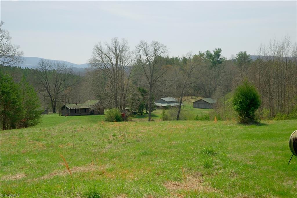 1019 George Road Westfield, NC 27053 - Photo 10 of 28