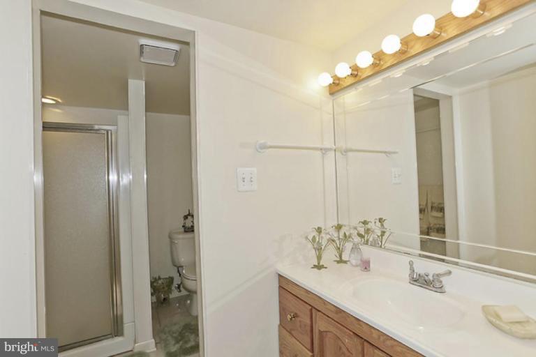 7908 Raphael Court Potomac, MD 20854 - Photo 22 of 27 Bath #4