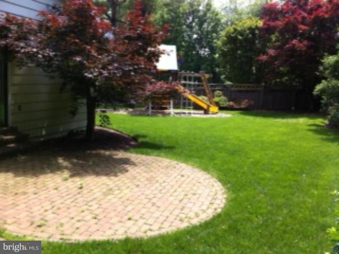 Back yard