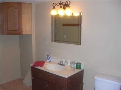 9746 Baker Road Greenville, MI 48838 - Photo 9 of 14 Additional Photo