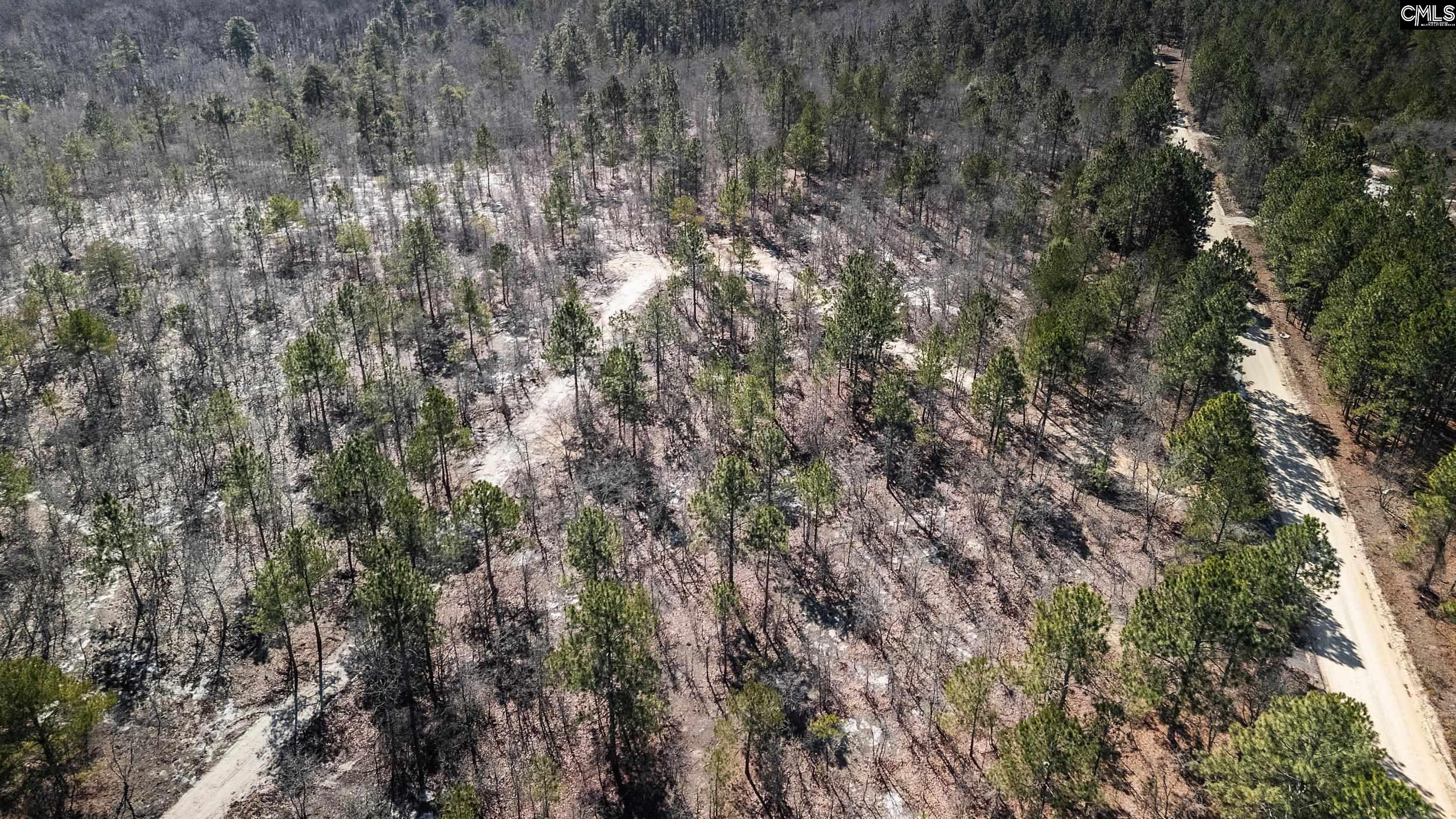 1 Spring Creek Road Lugoff, SC 29078 - Photo 10 of 14