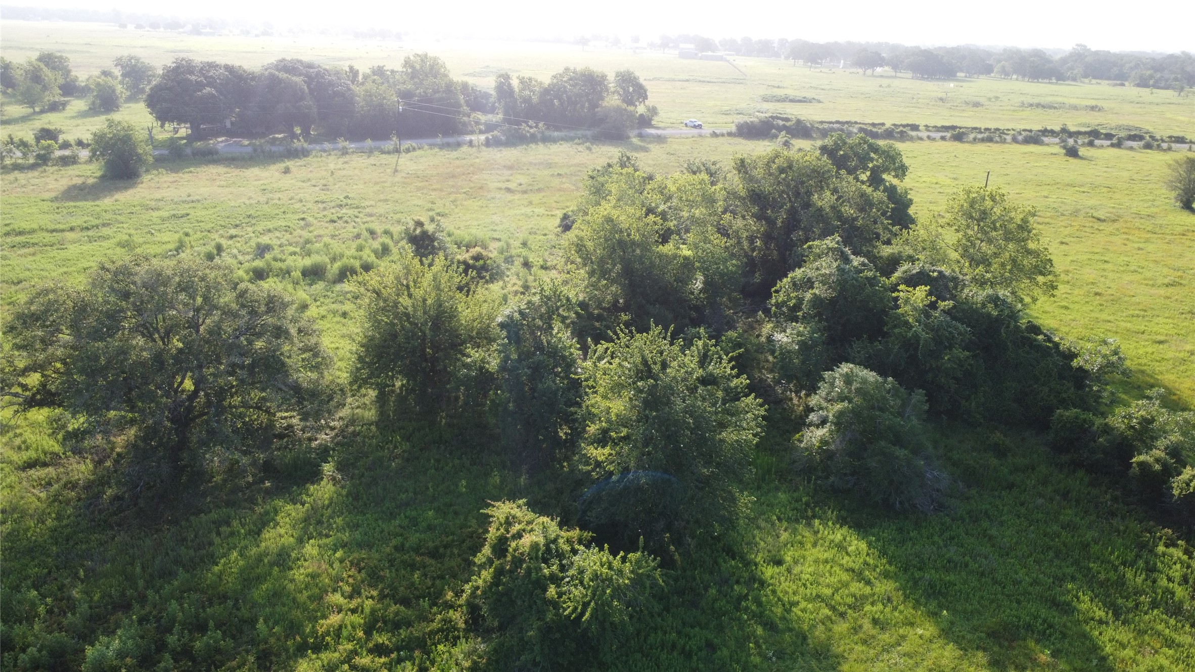 23579 Jones Road Hempstead, TX 77445 - Photo 5 of 10