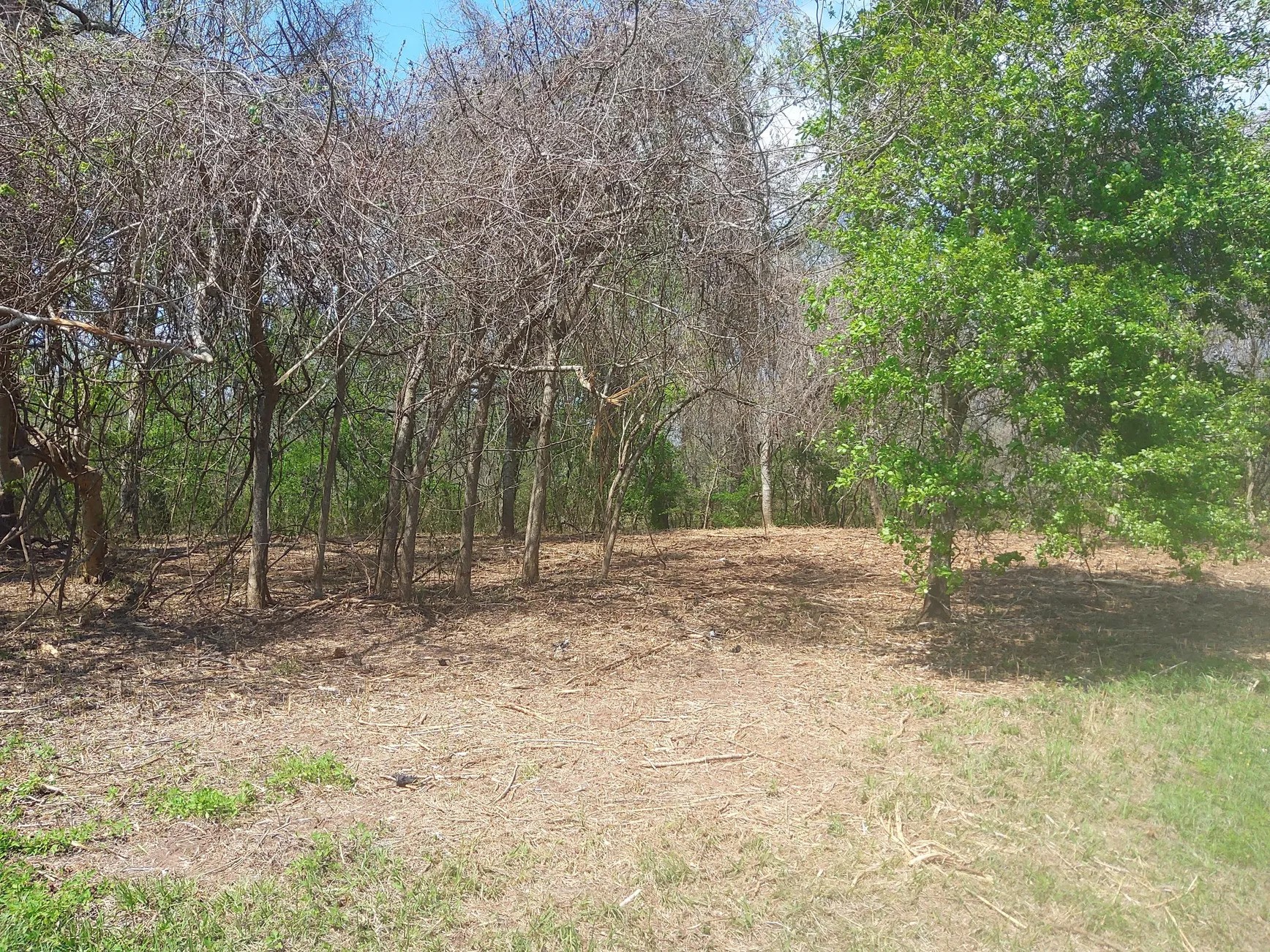 Lot 2 Fm 521 Angleton, TX 77515 - Photo 11 of 26