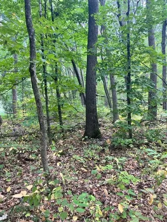 $24,900 | Xxx Xxx Cedar Rd/marble Drive, Cushing, MN 56443