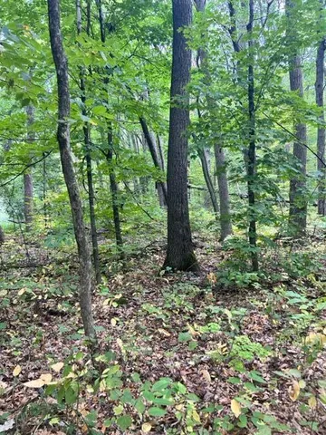 $24,900 | Xxx Xxx Cedar Rd/marble Drive, Cushing, MN 56443