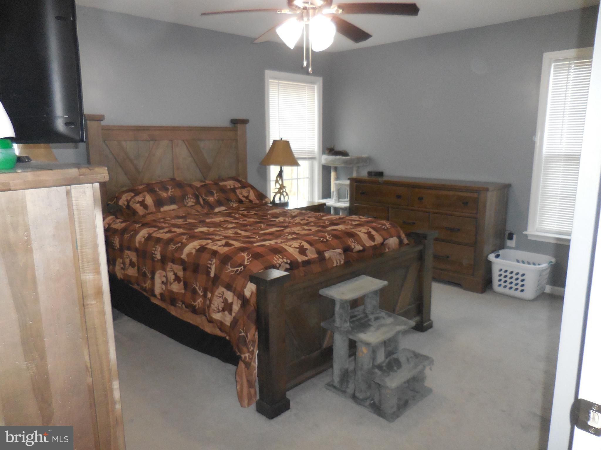 313 Beaver Trail Winchester, VA 22602 - Photo 26 of 70 Primary Bedroom