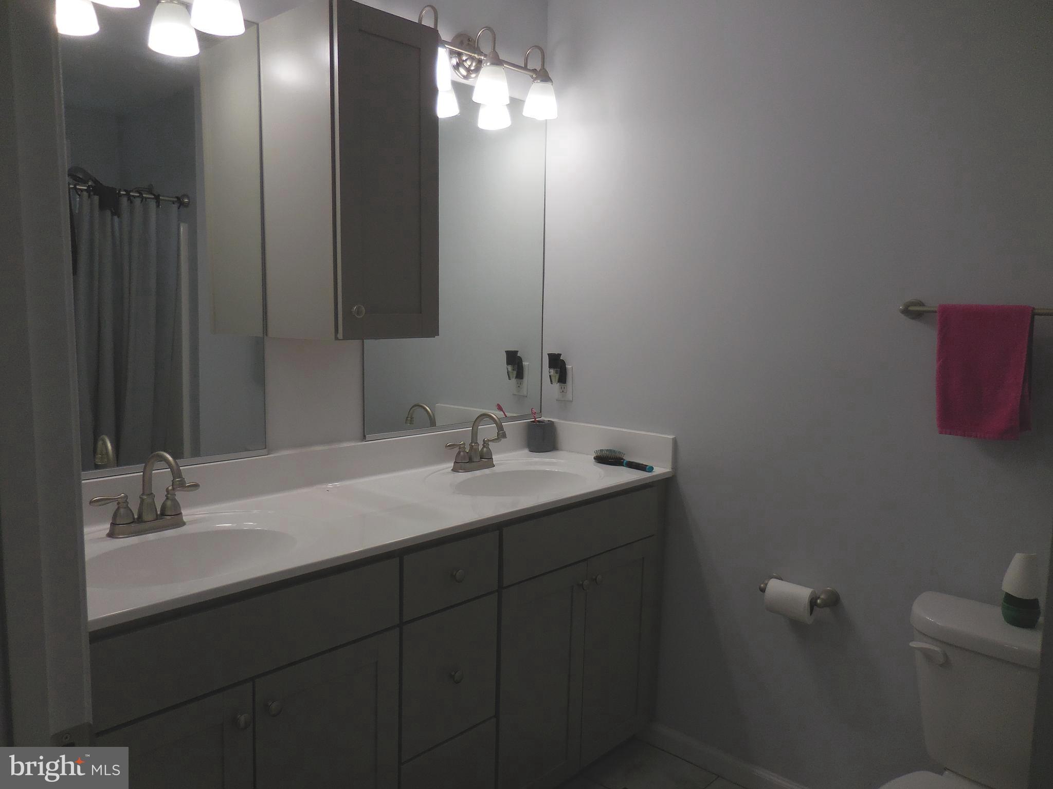 313 Beaver Trail Winchester, VA 22602 - Photo 29 of 70 Primary Bath