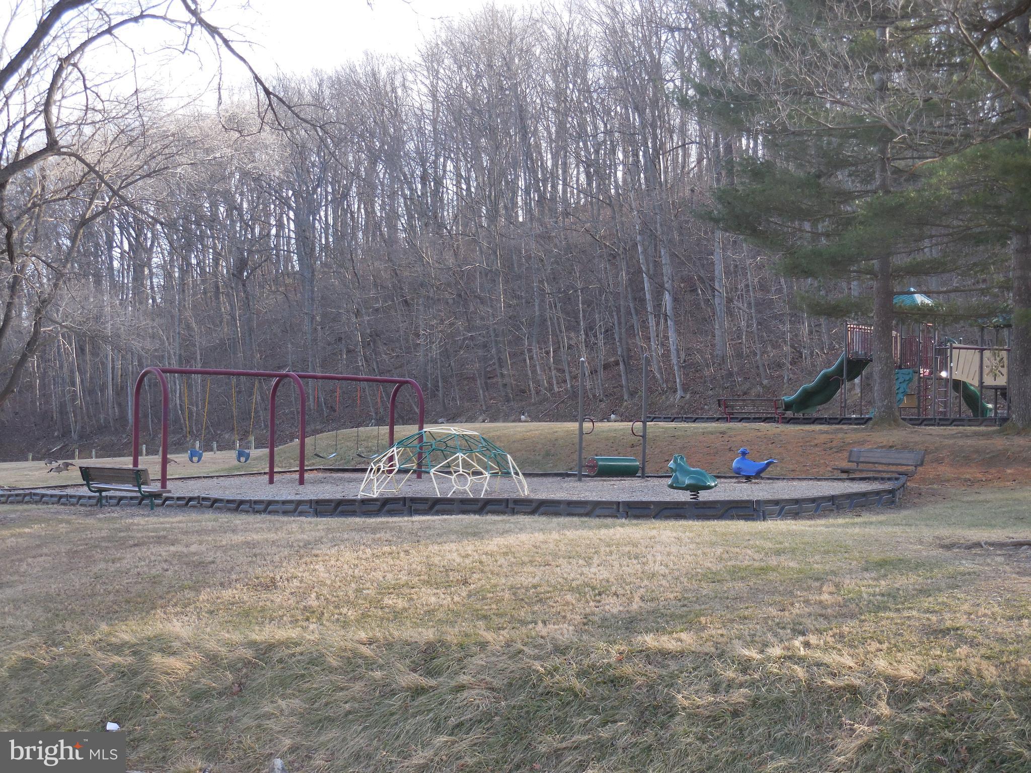 313 Beaver Trail Winchester, VA 22602 - Photo 57 of 70 Community Amenities