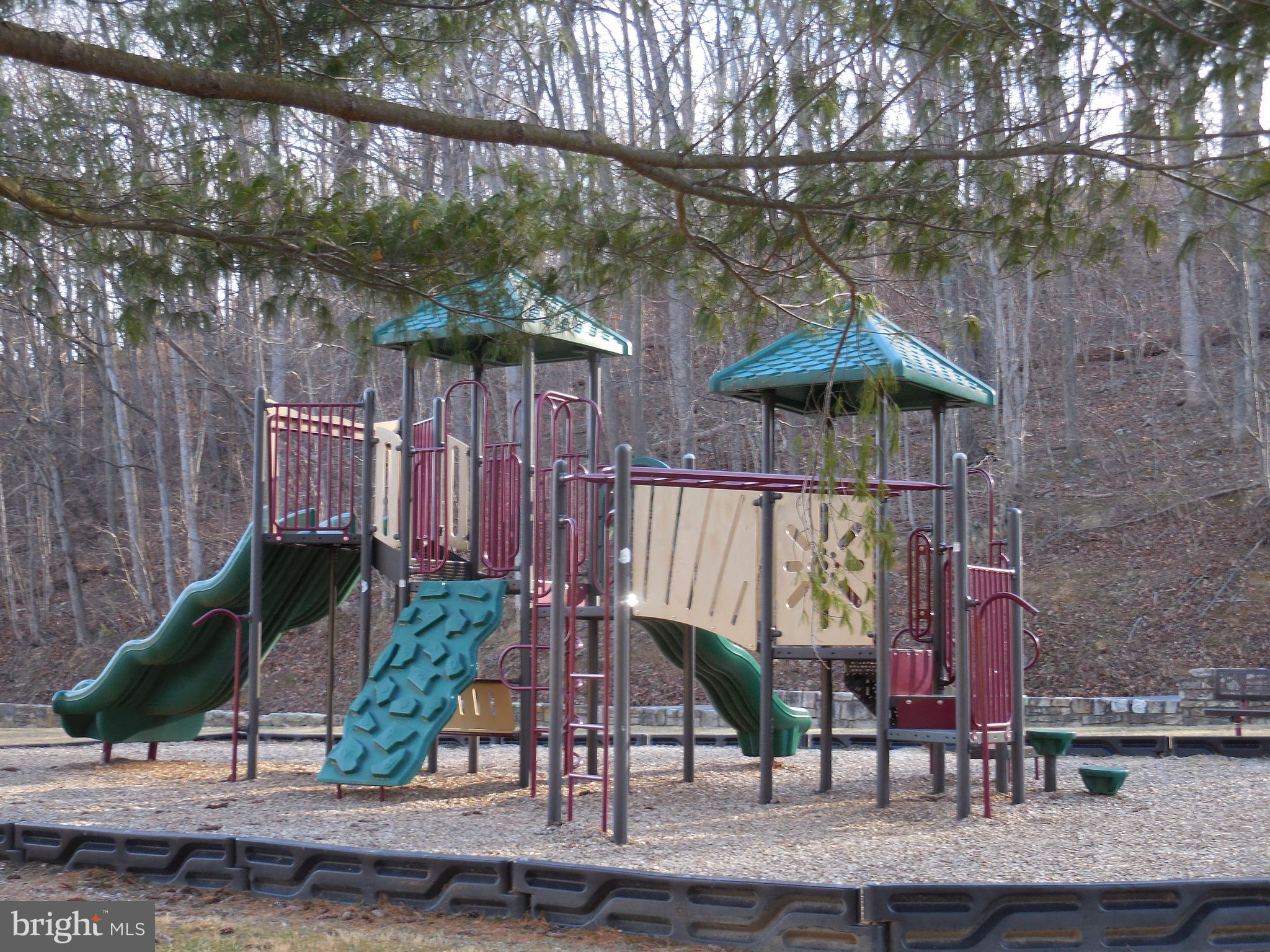313 Beaver Trail Winchester, VA 22602 - Photo 58 of 70 Community Amenities