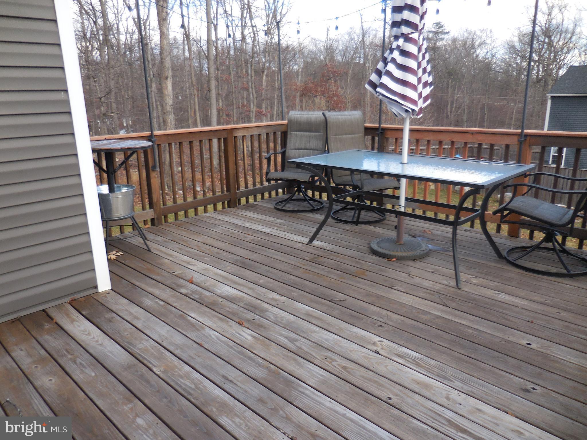 313 Beaver Trail Winchester, VA 22602 - Photo 6 of 70 Nice Deck