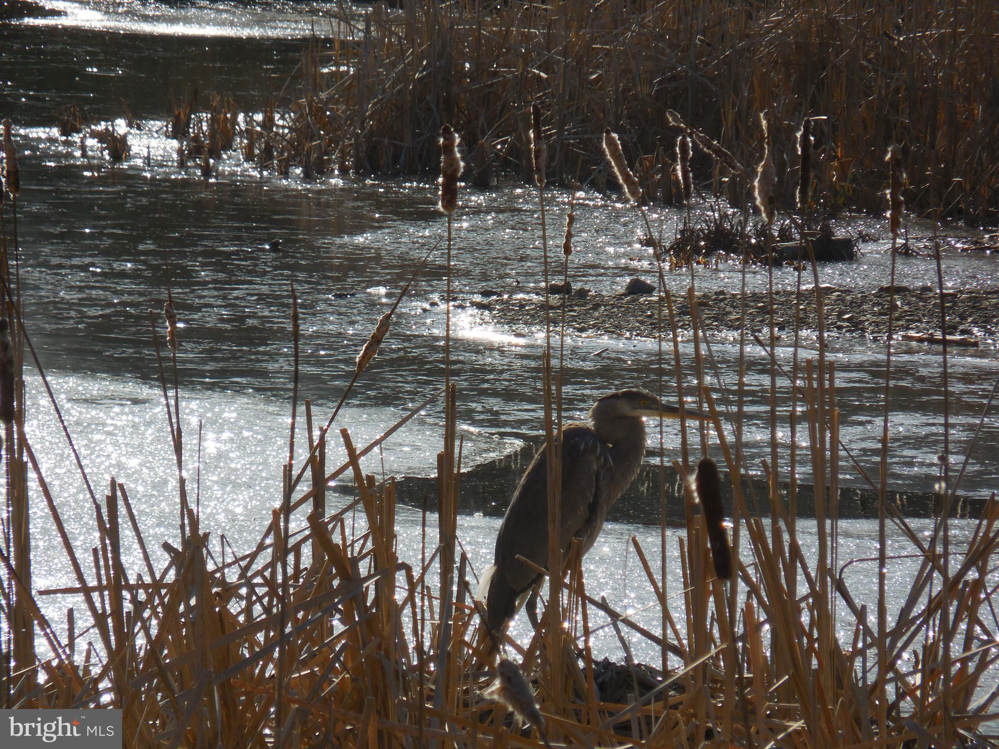 313 Beaver Trail Winchester, VA 22602 - Photo 65 of 70 Community Amenities