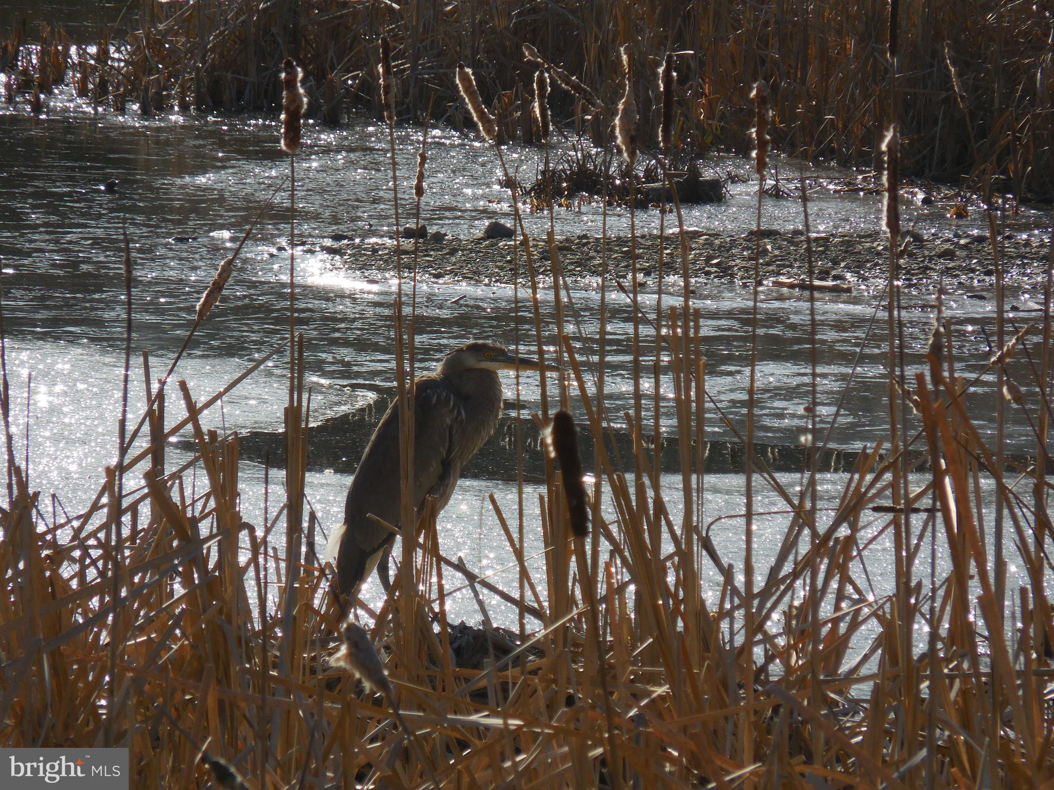 313 Beaver Trail Winchester, VA 22602 - Photo 66 of 70 Community Amenities