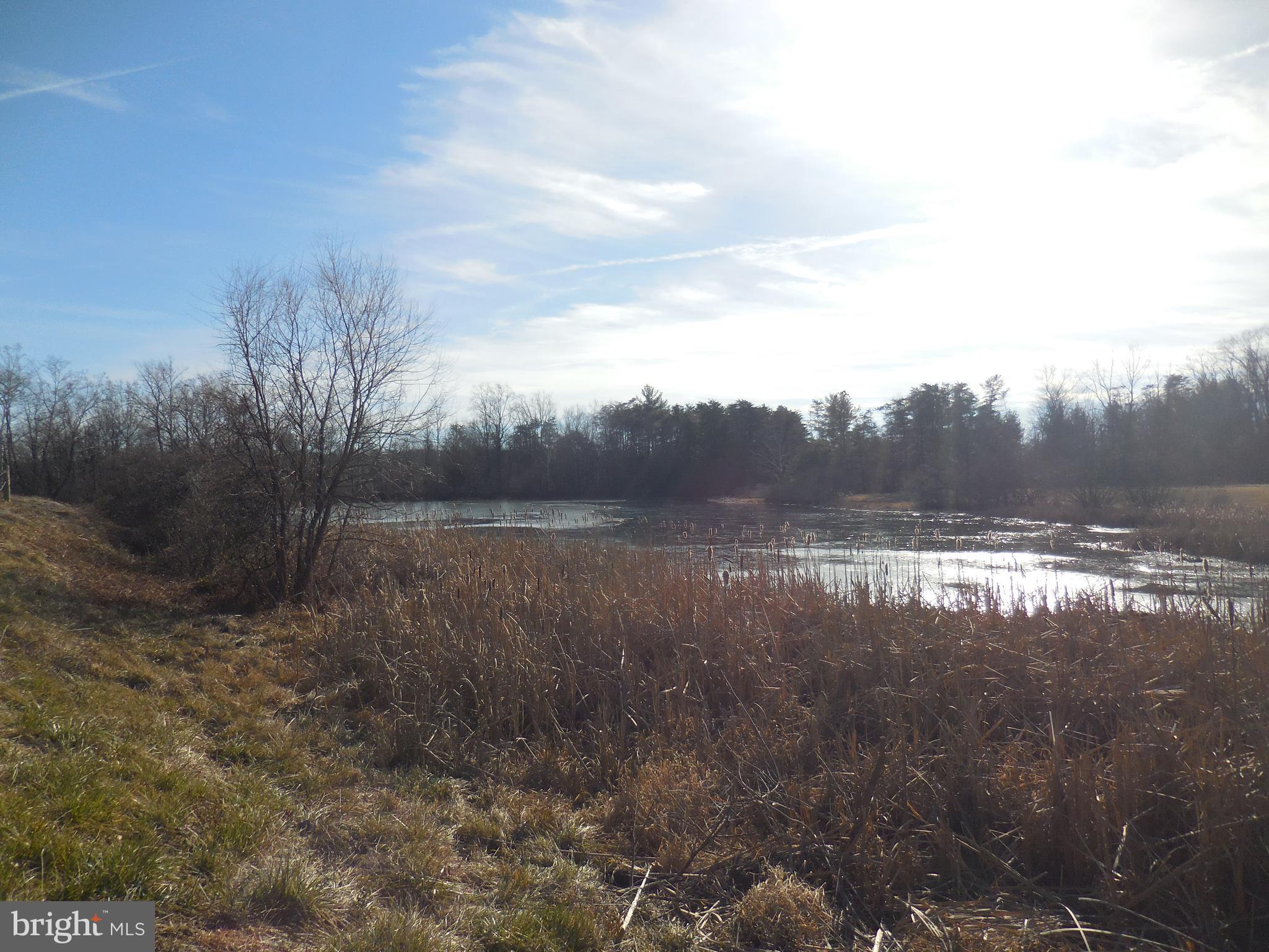 313 Beaver Trail Winchester, VA 22602 - Photo 67 of 70 Community Amenities