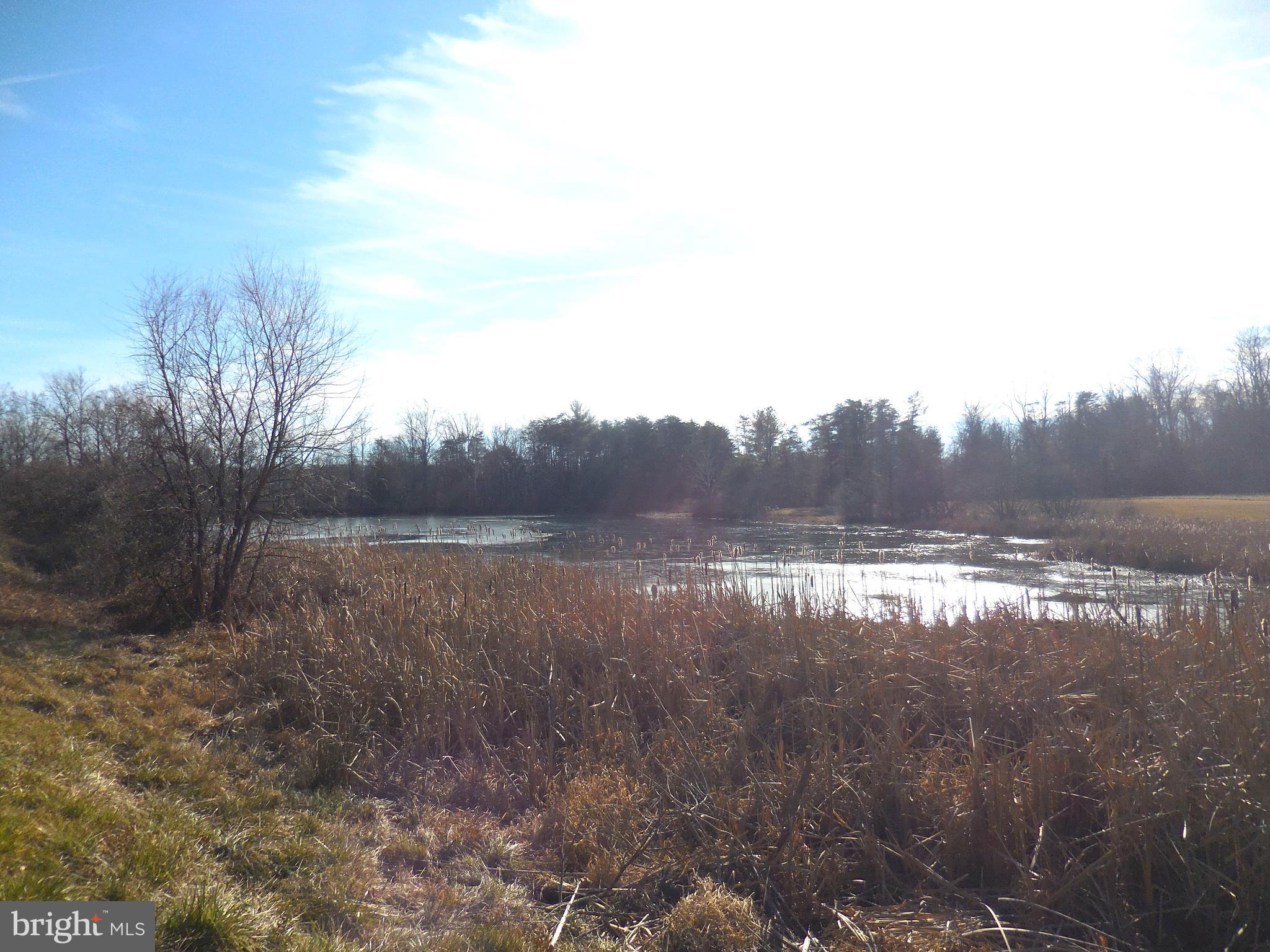 313 Beaver Trail Winchester, VA 22602 - Photo 69 of 70 Community Amenities