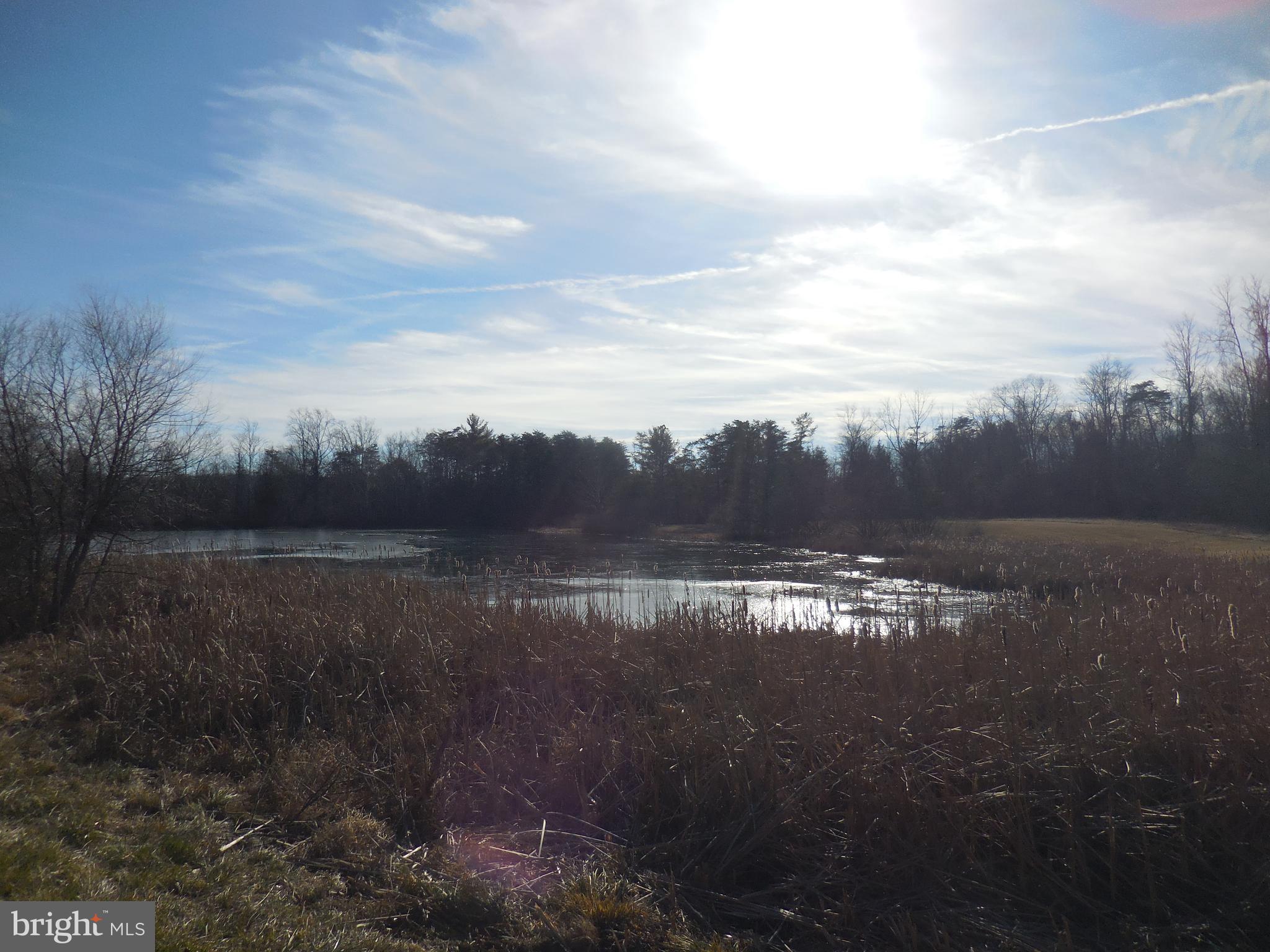 313 Beaver Trail Winchester, VA 22602 - Photo 70 of 70 Community Amenities