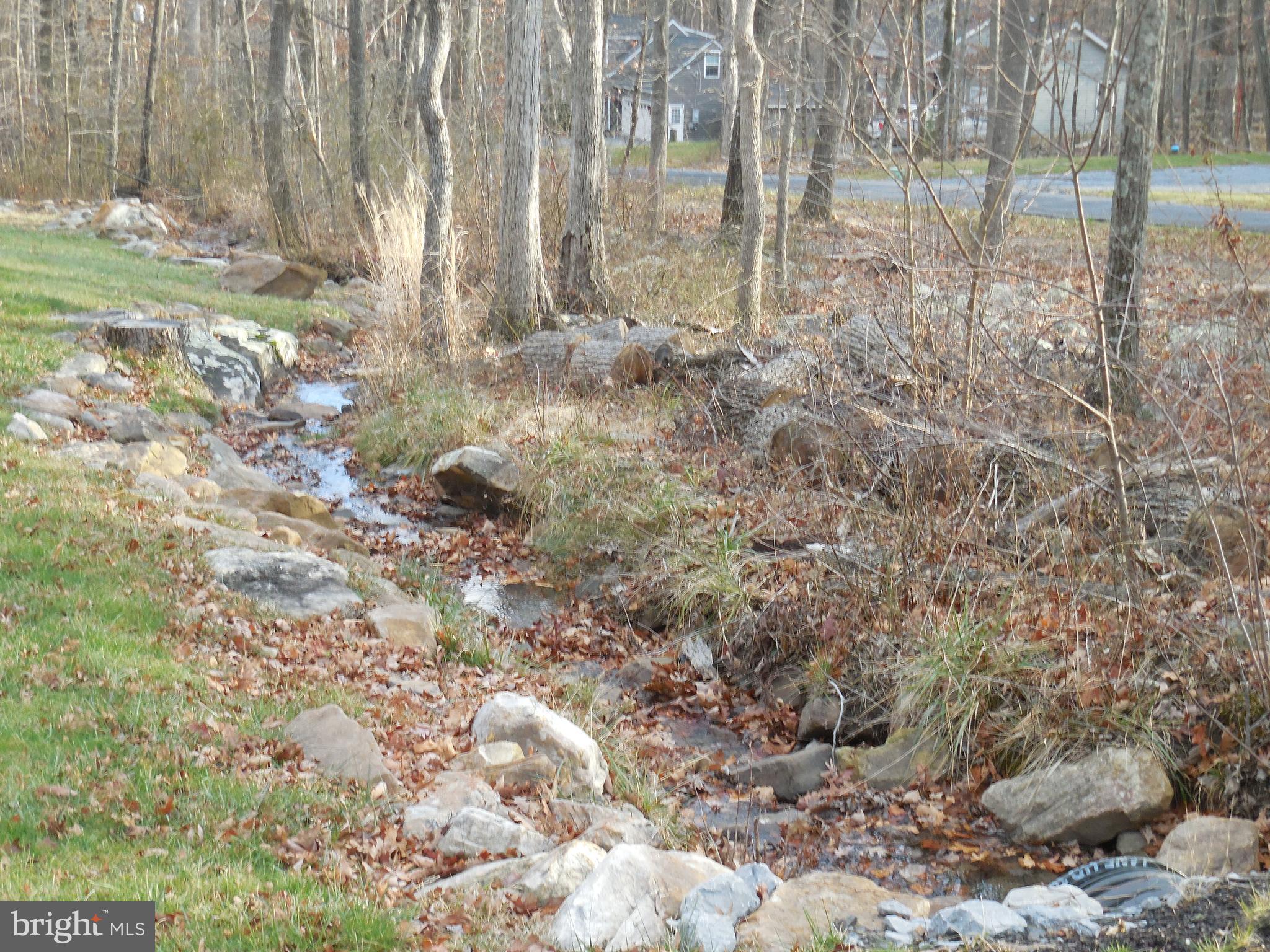 313 Beaver Trail Winchester, VA 22602 - Photo 8 of 70 Small Stream Runs Along the Road