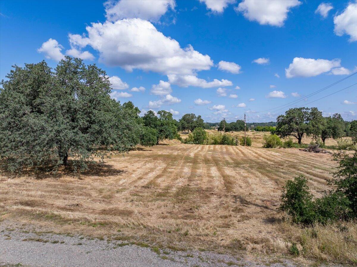 245 Walton Avenue Red Bluff, CA 96080 - Photo 2 of 22 a view of a town with big tree