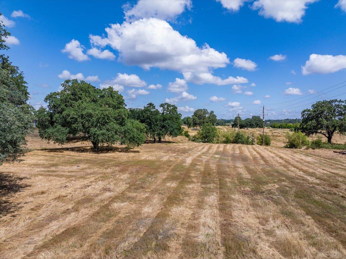 245 Walton Avenue Red Bluff, CA 96080 - Photo 3 of 22 a view of outdoor space and yard