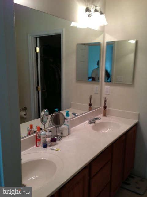 14292 Foxhall Road Dowell, MD 20629 - Photo 22 of 22 a bathroom with a sink and a mirror
