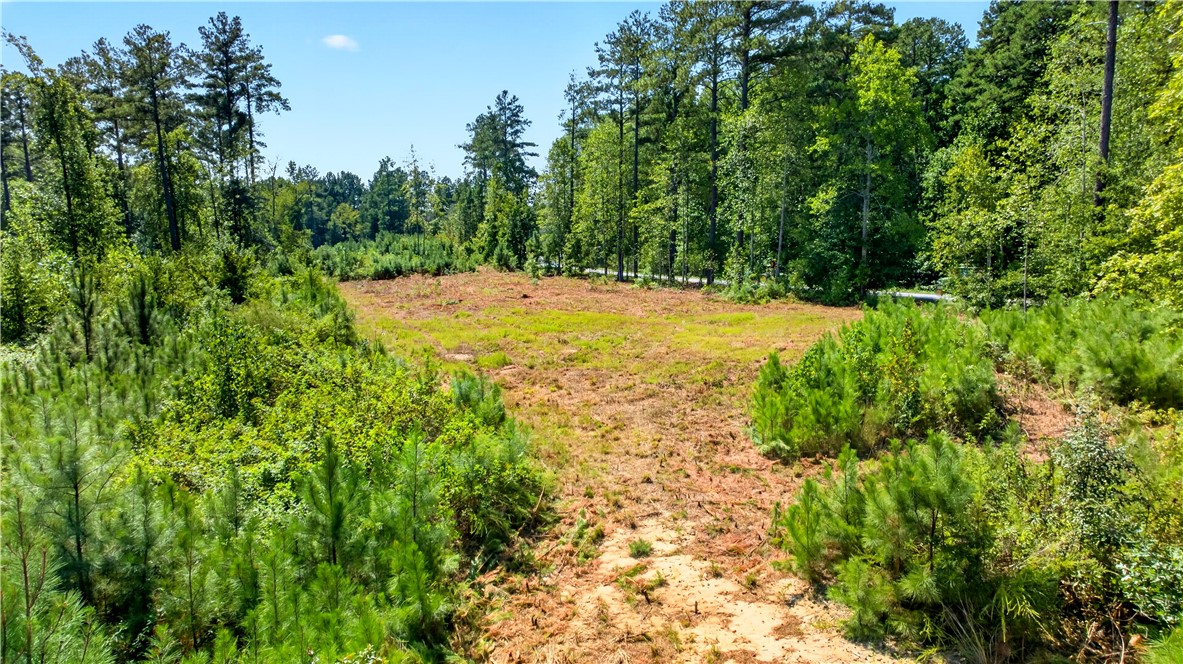 Lot 6 Coffee Road Walhalla, SC 29691 - Photo 6 of 22 Gallery Image 6