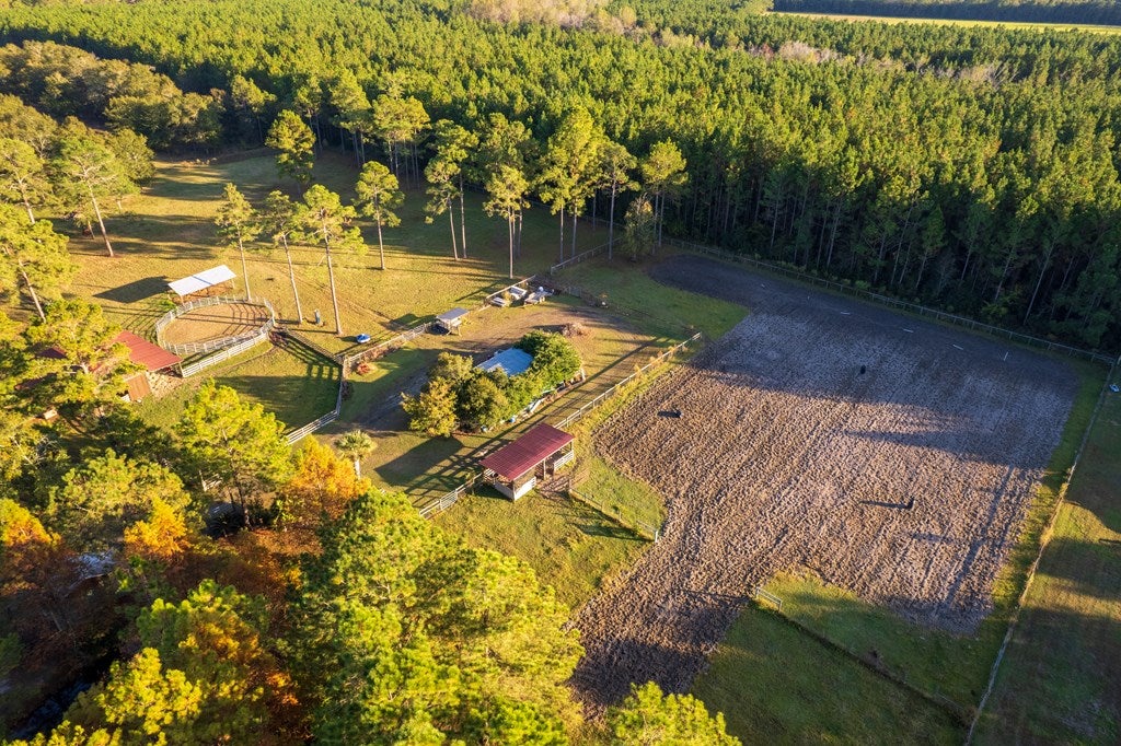 3659 Rountree Brg Road Adel, GA 31620 - Photo 11 of 67 Gallery Image 11
