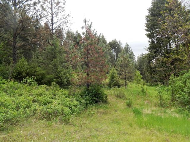 1552 Silver Queen Road, Unit B Kettle Falls, WA 99141 - Photo 11 of 20