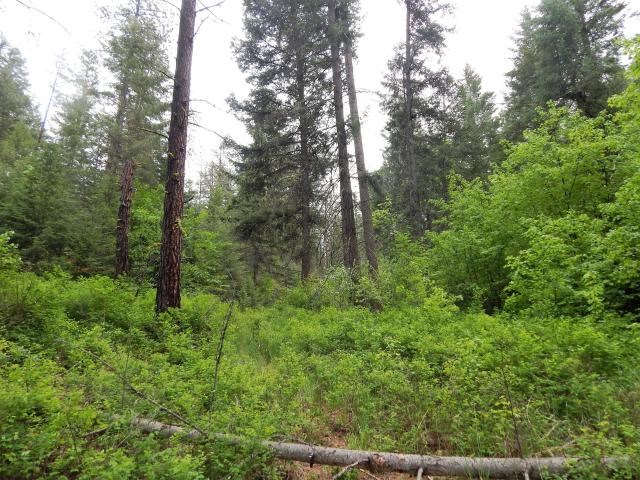 1552 Silver Queen Road, Unit B Kettle Falls, WA 99141 - Photo 13 of 20