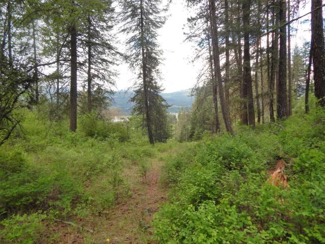 1552 Silver Queen Road, Unit B Kettle Falls, WA 99141 - Photo 14 of 20