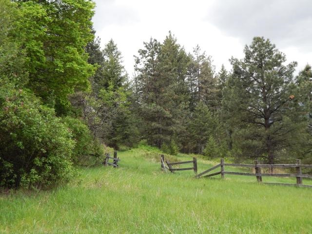 1552 Silver Queen Road, Unit B Kettle Falls, WA 99141 - Photo 17 of 20