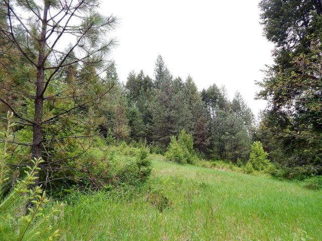 1552 Silver Queen Road, Unit B Kettle Falls, WA 99141 - Photo 3 of 20