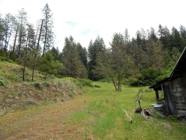 1552 Silver Queen Road, Unit B Kettle Falls, WA 99141 - Photo 10 of 20