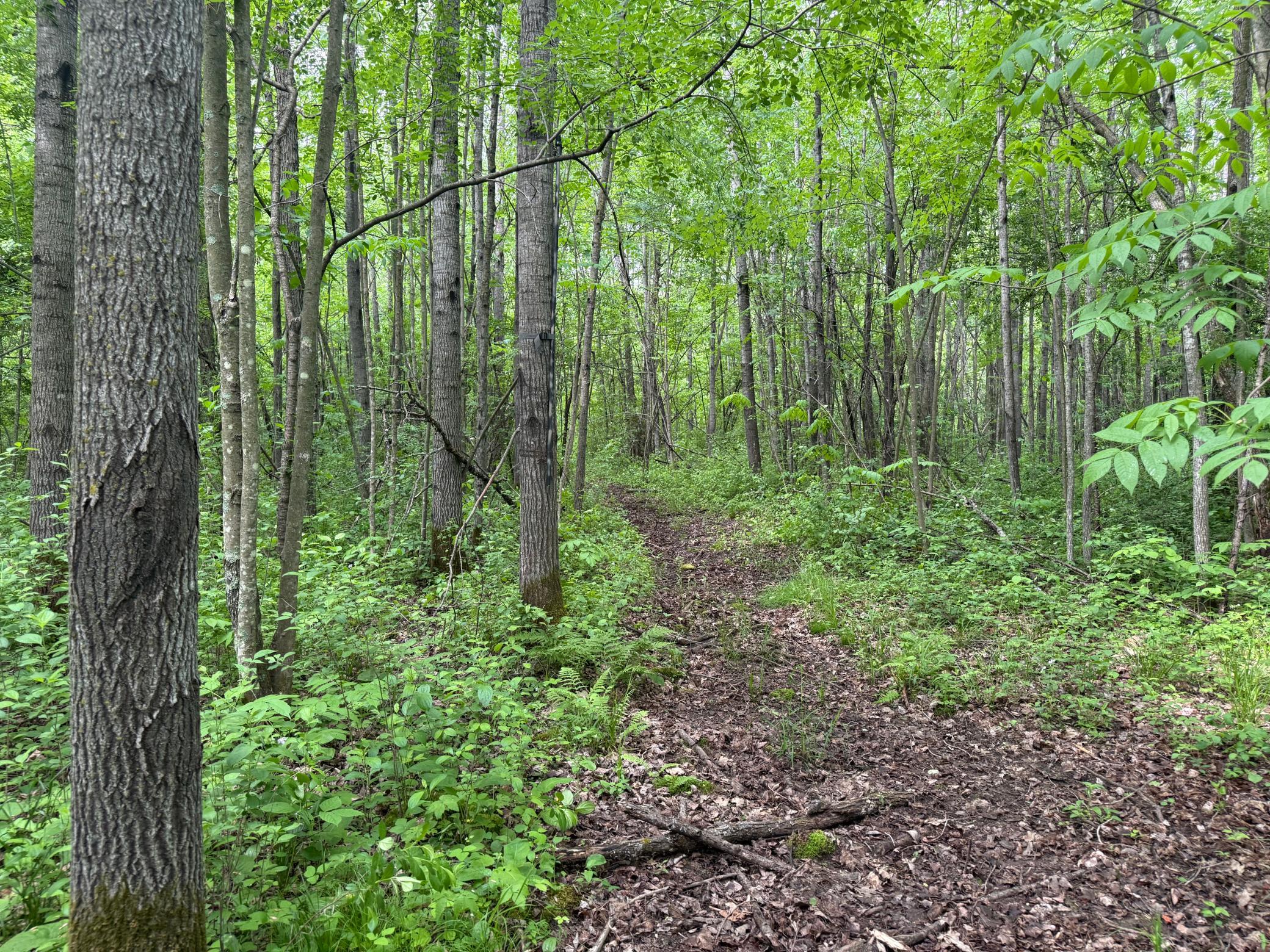 10551 Mallard Road Brook Park, MN 55007 - Photo 29 of 44