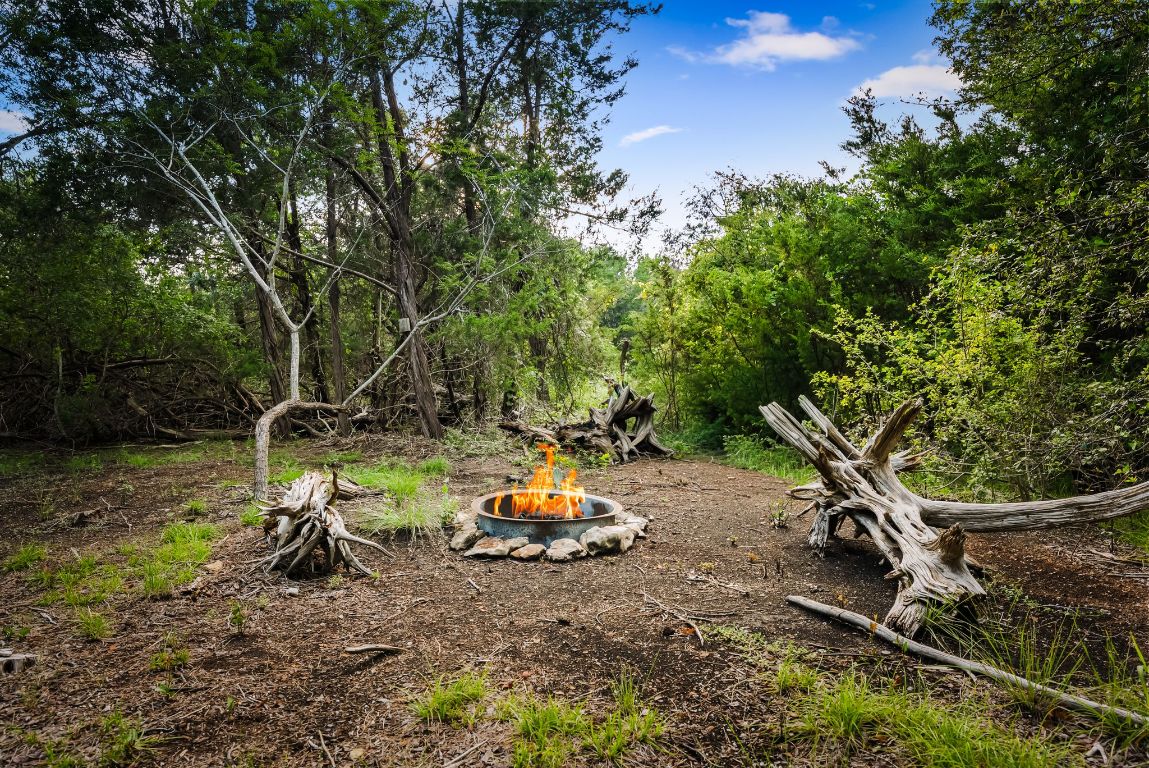 4204 Arthur Circle Leander, TX 78641 - Photo 38 of 40 a view of a park with large trees