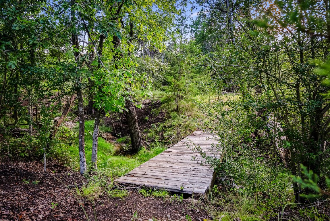 4204 Arthur Circle Leander, TX 78641 - Photo 39 of 40 a view of a back yard