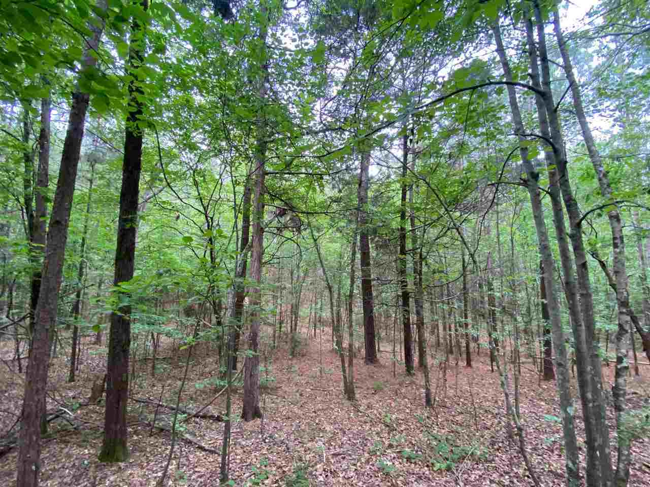 0 Cooncreek Road Carthage, MS 39051 - Photo 5 of 19 Photo 5