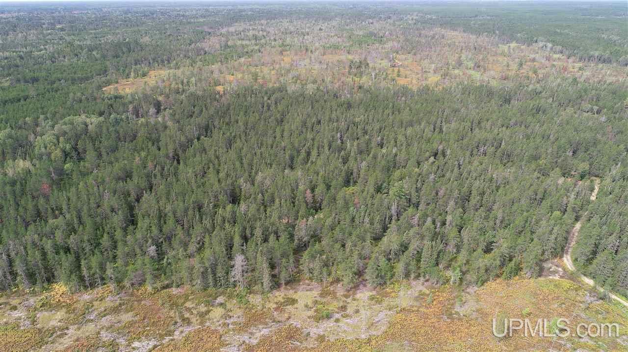 2207 West Co Road Seney, MI 49883 - Photo 20 of 32