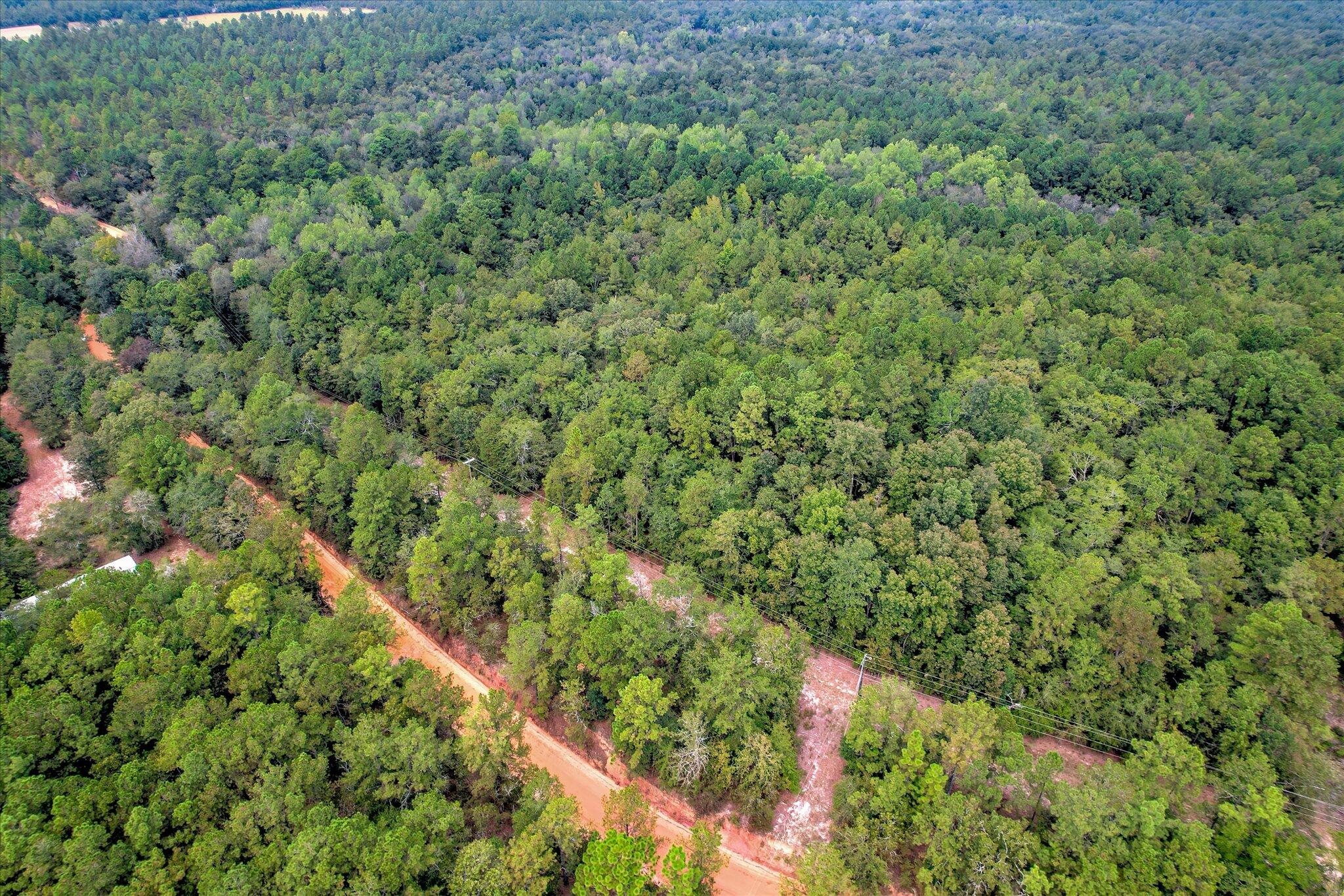 001 A Centerwood Road Williston, SC 29853 - Photo 6 of 19