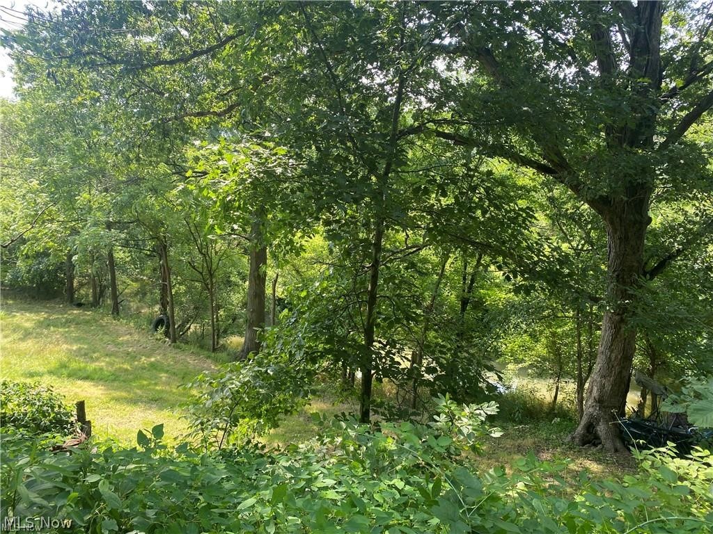 76040 Skull Fork Road Freeport, OH 43973 - Photo 12 of 34 Gallery Image 12