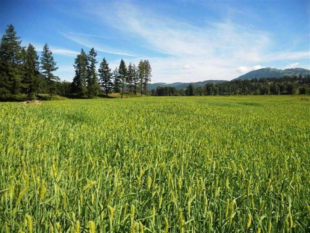 Lot 1 Williams Lake Road Colville, WA 99114 - Photo 13 of 20
