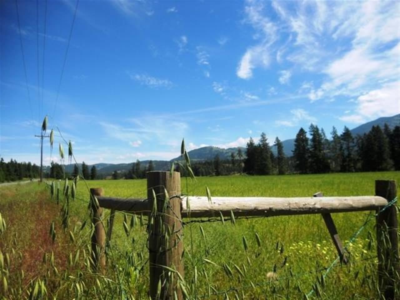 Lot 1 Williams Lake Road Colville, WA 99114 - Photo 20 of 20