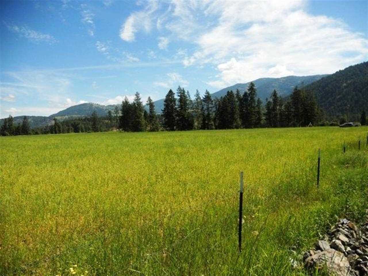 Lot 1 Williams Lake Road Colville, WA 99114 - Photo 5 of 20