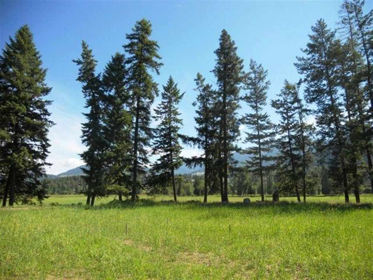 Lot 1 Williams Lake Road Colville, WA 99114 - Photo 8 of 20
