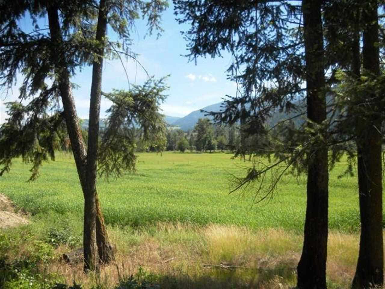 Lot 1 Williams Lake Road Colville, WA 99114 - Photo 10 of 20