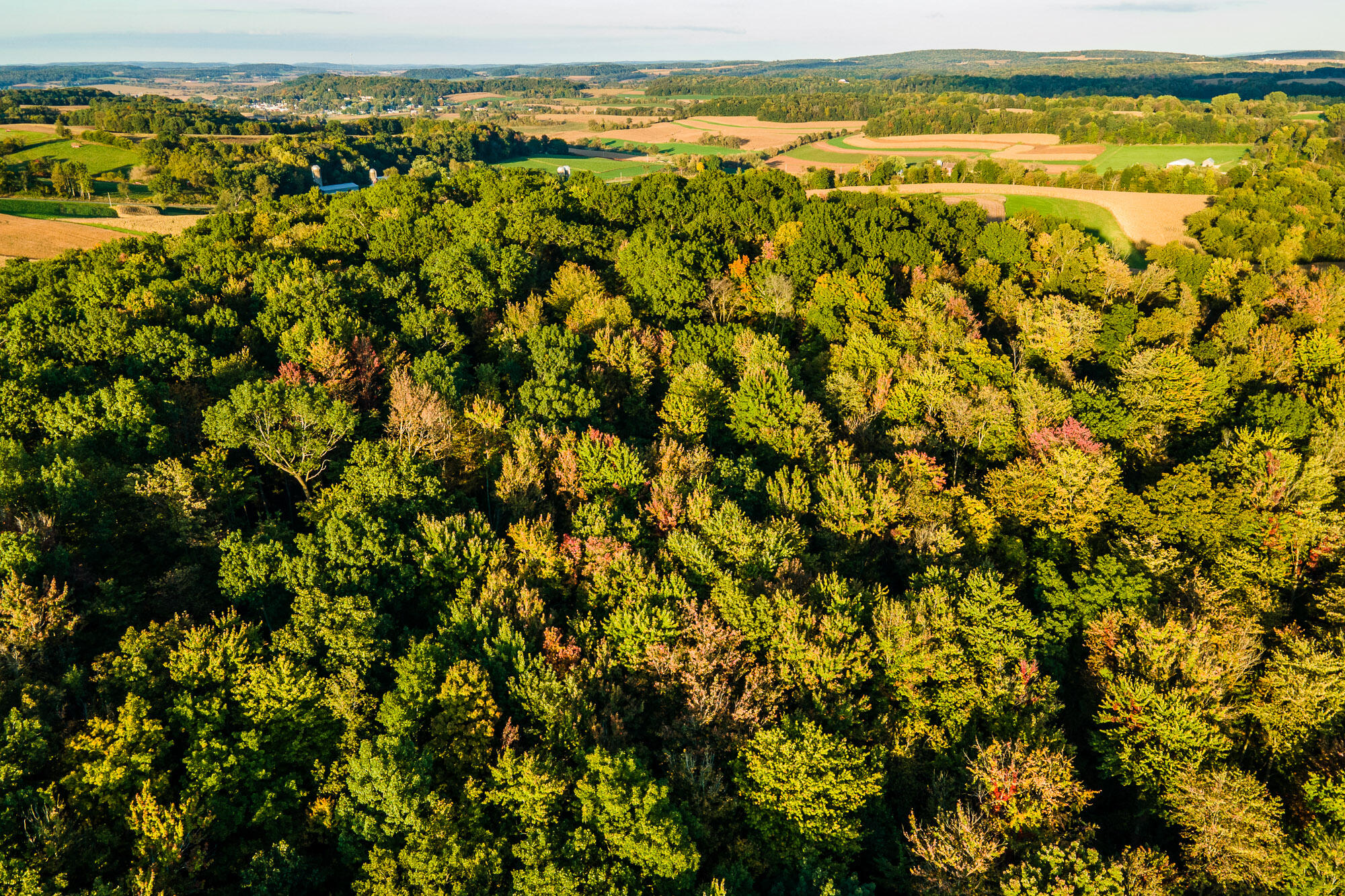 Lt1 Eli Valley Road Loganville, WI 53943 - Photo 46 of 49 Sauk-County-WI-68-Acres-Land-For-Sale-Fa