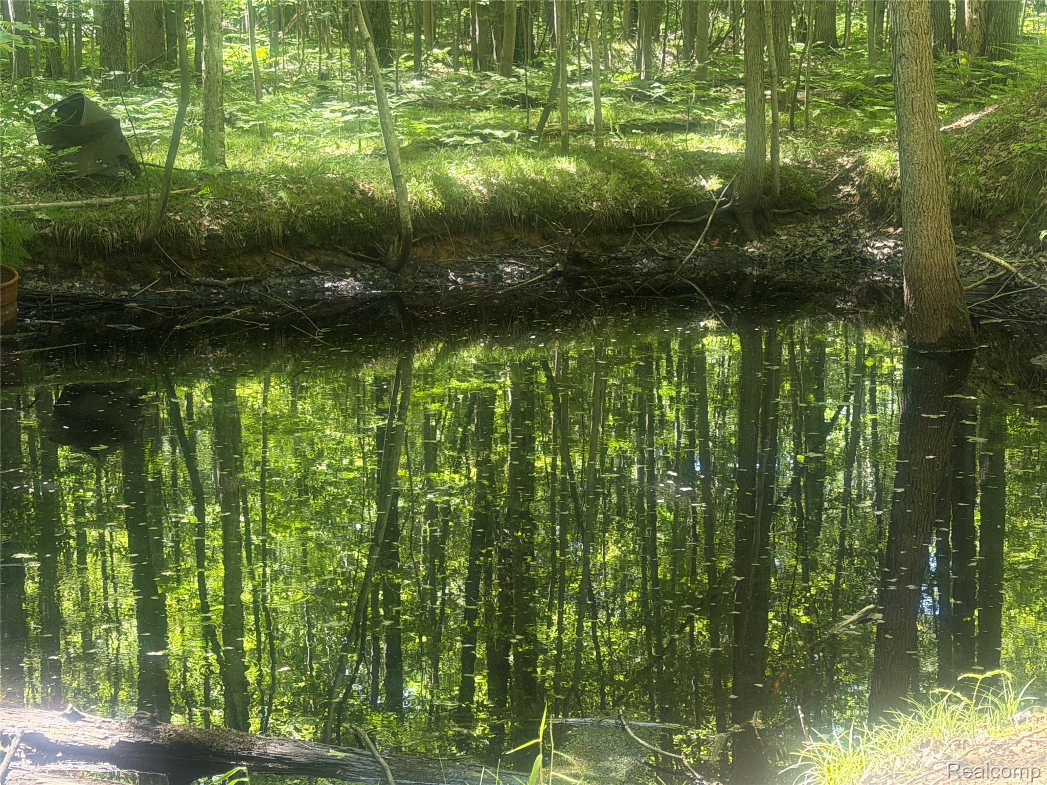 Chamber Rd North Chamber Road Vassar, MI 48768 - Photo 2 of 31 IMG_7359.jpeg