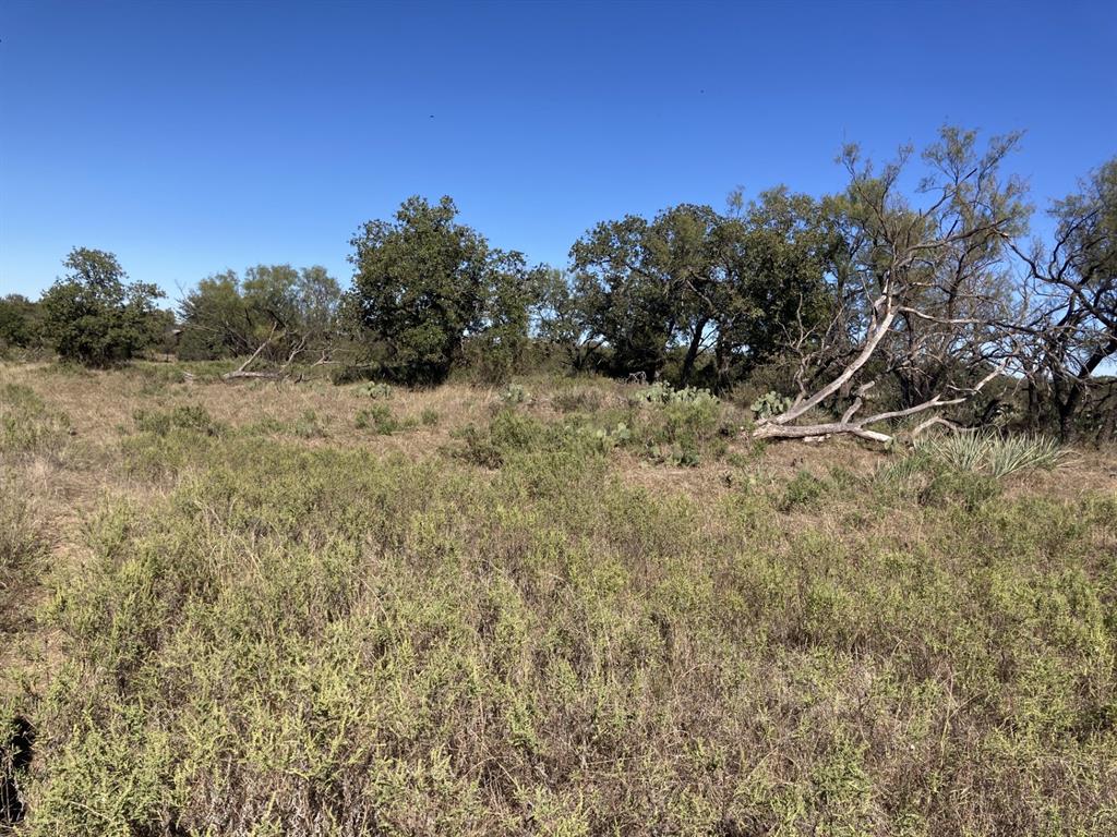 0 Medlan Chapel Road Graham, TX 76450 - Photo 12 of 25 a view of a dry yard with trees