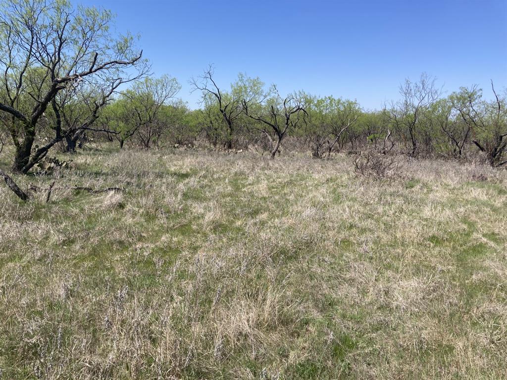 0 Medlan Chapel Road Graham, TX 76450 - Photo 16 of 25 a view of a field with trees in the background