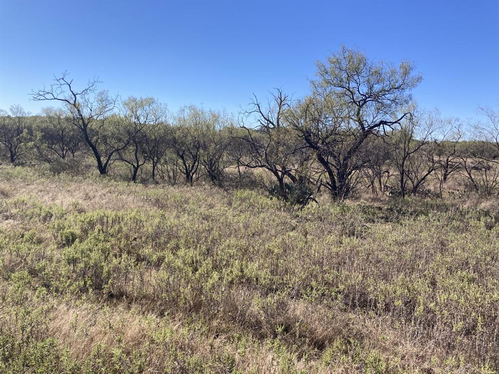0 Medlan Chapel Road Graham, TX 76450 - Photo 18 of 25 a view of a dry yard with trees