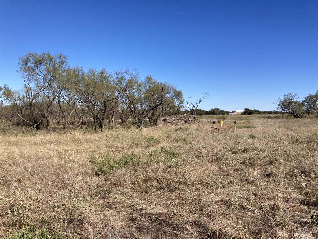 0 Medlan Chapel Road Graham, TX 76450 - Photo 19 of 25 a view of a field with trees in the background